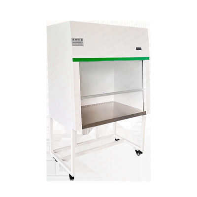 AC 110V 220V Cappuccio di flusso laminare in acciaio inossidabile
