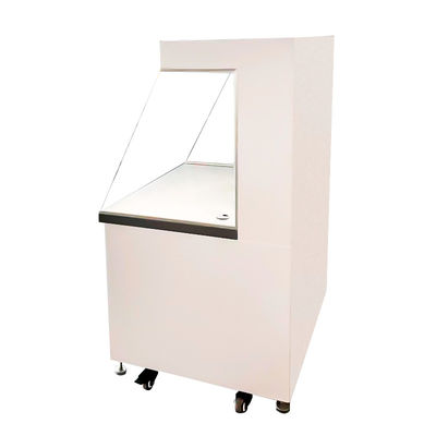 Cappuccio di flusso laminare personalizzato SUS 304 Classe di flusso unidirezionale 100 - 10000