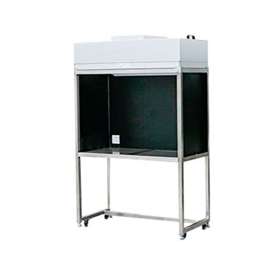 SS 304 Benchtop Laminar Airflow Cabinet Clean Bench Acciaio laminato a freddo 220V 50Hz