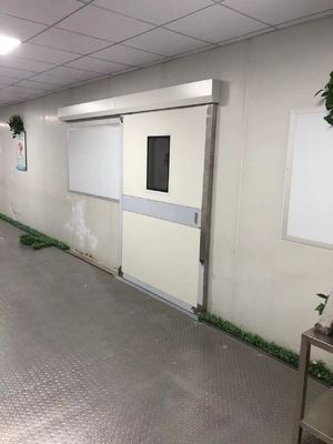 Porta scorrevole in acciaio industriale automatica. 1500 kg di capacità di carico e IP65 resistente alle intemperie per magazzini e banchine.